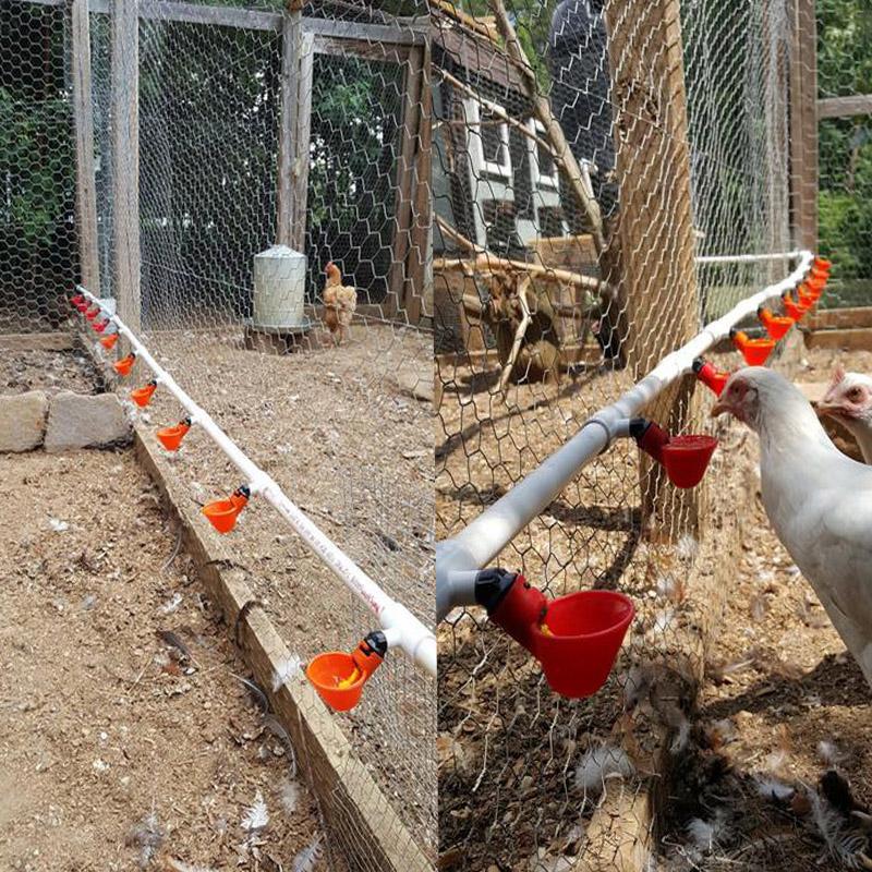 10Pcs Chicken Quail Hanging Water Cups Nipple Drinking Bowl Birds Water Bowl Drinker Cups for Backyard Automatic Poultry