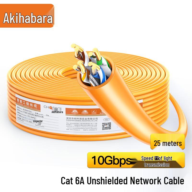 Choseal Cat6A 10 Gigabit Ethernet Cable