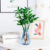 Hydroponic Plants Pot Creative Transparent Vases for Plant Bottle Lazy Flower Pot Plastic Flower Pot Table Vase Home Decor