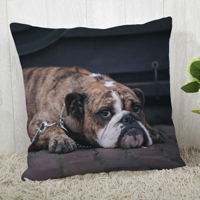 Pillowcase Bulldog  Modern Home Living Room Decoration