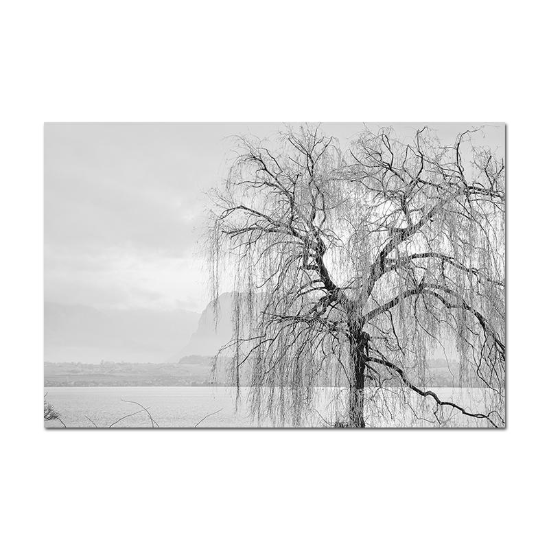 Minimalist Black White Modern Photo Wall Art Canvas Print Poster Winter Nature Sight Picture for Living Room Home Decor Cuadros