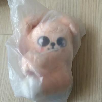Stray Kids SKZ Skiju Piggy Changbin Strap Plusle