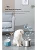 Smart Stainless Steel Pet Water Fountain with Automatic Circulation and Filtration for Cats