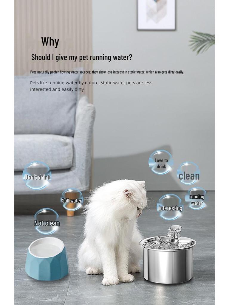 Smart Stainless Steel Pet Water Fountain with Automatic Circulation and Filtration for Cats