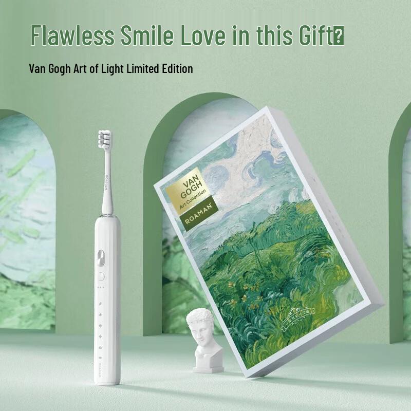 ROAMAN E30 Smart Sonic Electric Toothbrush CN plug (adapter included)