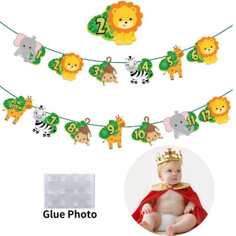 Huipai Brand 12-month Animal Birthday Banner Premium Quality Paper Material For Party Decor