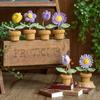 Crochet Knitting Flowers Potted Homemade Crochet Rose Tulip Daisy Office Desktop Ornaments Car Automotive Interior Decoration