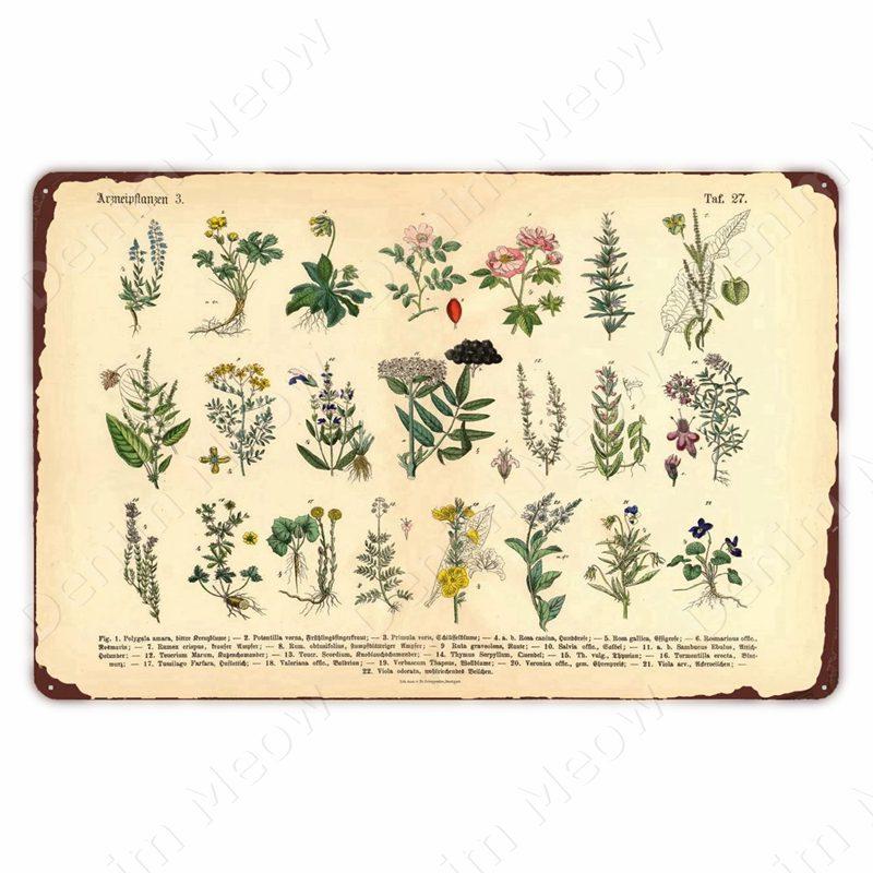 VintageWildFlowersMetalSign Vintage Metal Tin Sign - Wild Flowers Plant Herbarium Art Plaque, Kitchen/Home Wall Decor