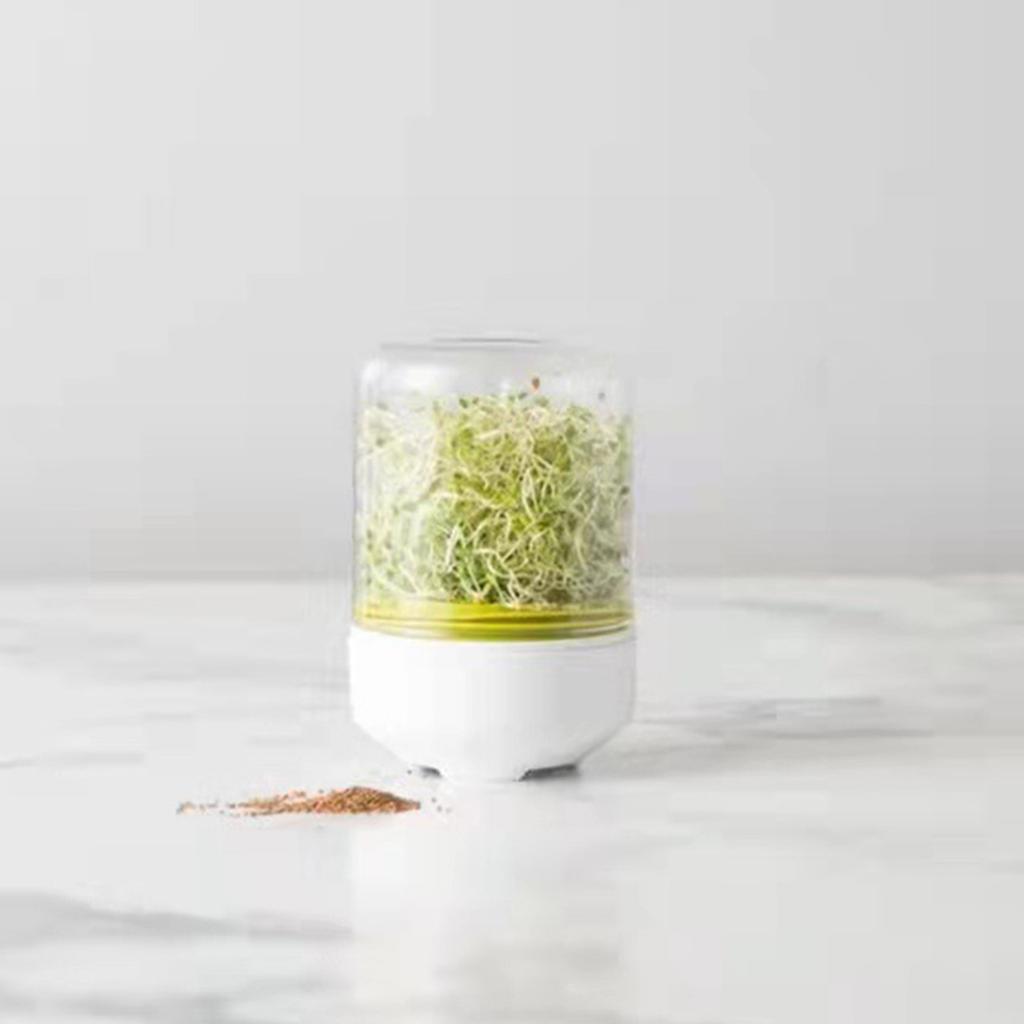 Sprouting Container Breathable Sprouter Bowl Portable Plant Indoor Germination Tray Bean Sprout Growing Supplies