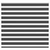 VidaXL Store Zèbre Noir 165x100 Cm Largeur Du Tissu 160,9 Cm Polyester, Store Enrouleur Zébré, Store Zébré Pour Fenêtre, 4014222
