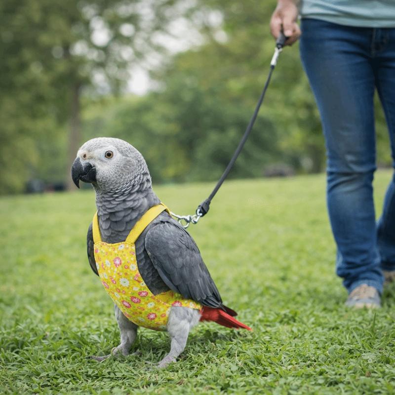 Adjustable Bird Flight Suits Escape Proof Feces Pocket Parrot Flying Harness Breathable Parrot Outdoor Leashes Bird Training