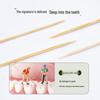 Disposable Double-Ended Bamboo Toothpicks