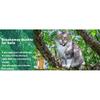 Air tag Cat pet Collar Breakaway Reflective Kitten Collar with Apple Air Tag Holder and Bell  kitten accessories