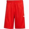 adidas Originals Adicolor Shorts JP1032-