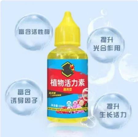 

Succulent plant Eugenin promotes budding, dwarf fat, prevents leggy organic granules, succulent, and succulent 300ml