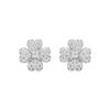 Luxenter Earrings with Brilliant Zirconia Silver Finish - Noxi