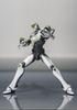 TAMASHII NATIONS Wild Tiger SHFiguarts -Edição de Filme-
