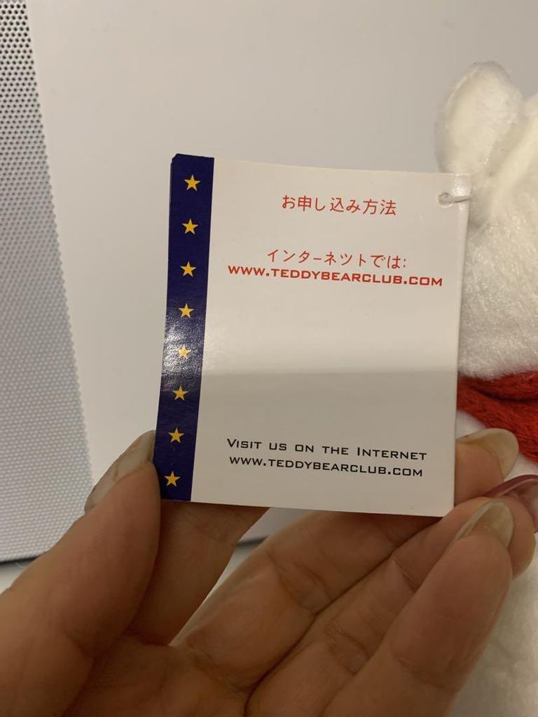 [USED] Herrington WAKABA Teddy Bear