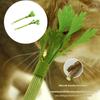 2pcs Silvervine Celery Shape Catnips Toy Interactive Chew Stick For Indoor Cats Dental Health And Play