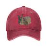 Big Floppa Gewaschene Jeans-Kappe Lässige Baseballkappen Verstellbare Mütze Sommer Unisex Baseballkappen