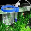 Peixes e animais aquáticos – Manutenção de aquário