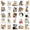 50 Pieces Cat PET Stickers Cute Realistic Cat Meme Emoji Decals Decorate Water Cups Stationery Suitcases Fridges Laptops Notebook Scrapbook