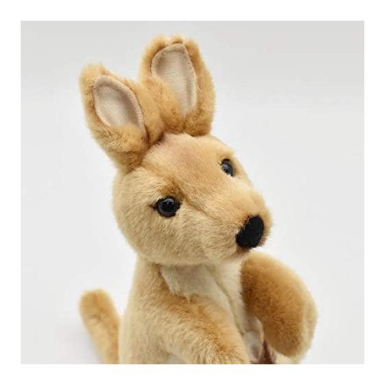 Kangaroo No3424
