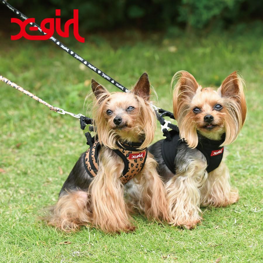 Box Logo Body Harness Adjustable Size for and Easy Size X-girl Training, Walks, Outings, Anti-Pulling, On/Off (Black, M)