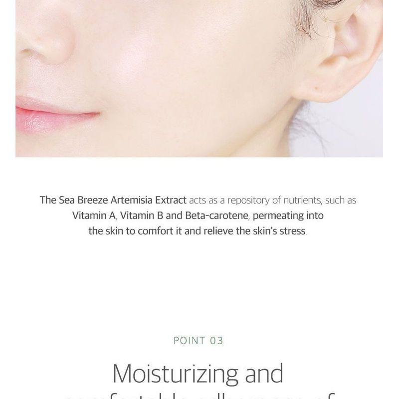 ROUND LAB - Mugwort Calming Cream