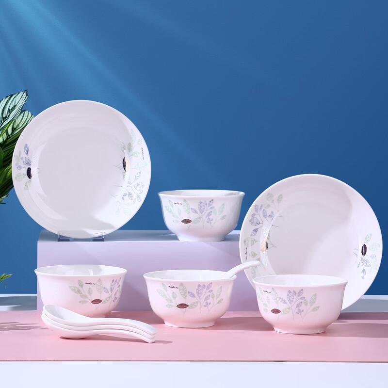 Aiyiruis 10-Piece Ceramic Dinnerware Set