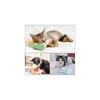 Dorakitten Cat Catnip Toys 5PCS Plush Interactive Cat Toys - Cat Chew Toy Bite Resistant Catnip Filled Kitten Toy for Cat Kitten Teeth Cleaning