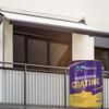 Alkyd Anti-Rust Metal Paint