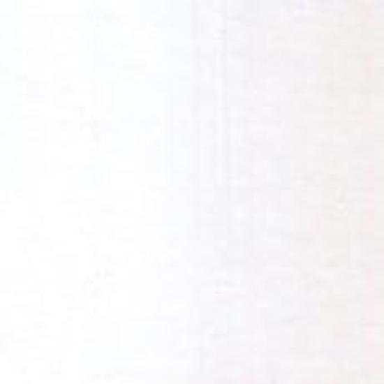 Holbein Acrylfarbe AU941, 330 ml, Titanweiß 16941 [Starker Körper]
