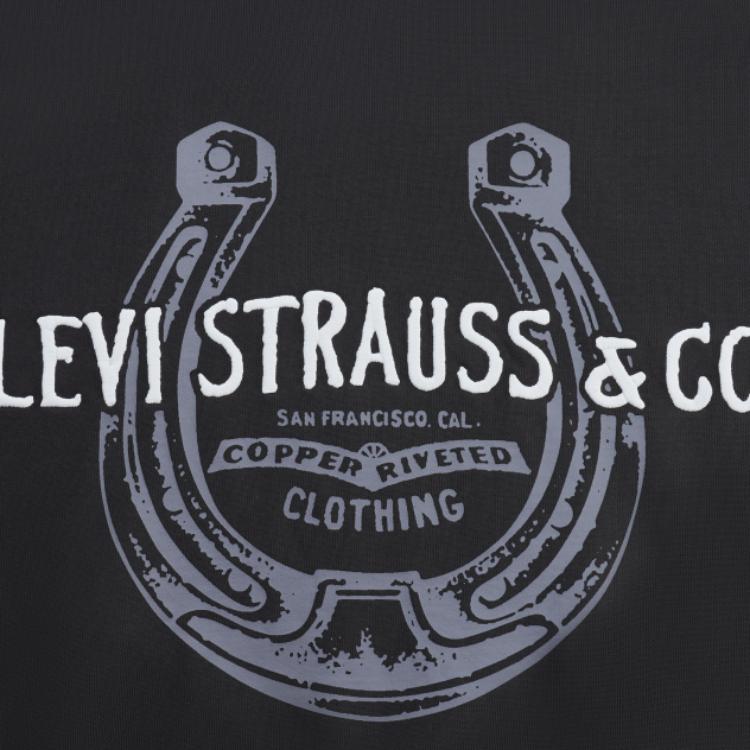 Levis Loose Casual Printed Hoodie Long Sleeve Sweatshirt Men Hoodies Dark-Black Gray 0018V-0001