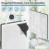 High-Efficiency Activated Carbon Filtration System HEPA Filter Suitable for LevoitVital 100 Air Purifier Hepa Filter 3x