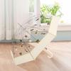 Tianwei Transparent Long-Handle Umbrella