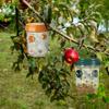 Insect Wasp Trap Asian Hornet Trap Removable and Reusable Wasp Catcher Fruit Fly Trap Moth Trap Fly Trap Tools