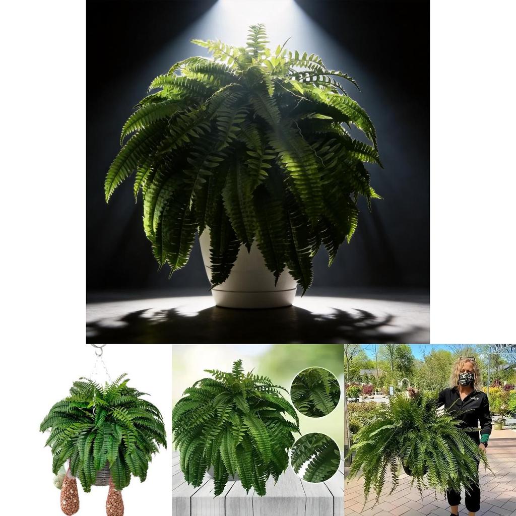 Artificial Boston Fern Foliage With Durable Silk Material For Event Decoration And Photography Props