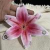Exquisite Phalaenopsis Orchid Lily Keychain Creative Simulation Flower Bag Pendant  Backpack Decoration Accessories Gifts
