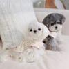 Pet Spring Dress Cat Spring Floral Tank Top Skirt Home Clothing Cute Teddy Small Dog Clothes Puppy for Small Dogs