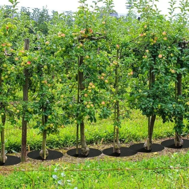 Non-Woven Reusable Tree Weed Control Barrier Protector Mat Eco-Friendly Root Protector Felt Cushion Gardening Fabric