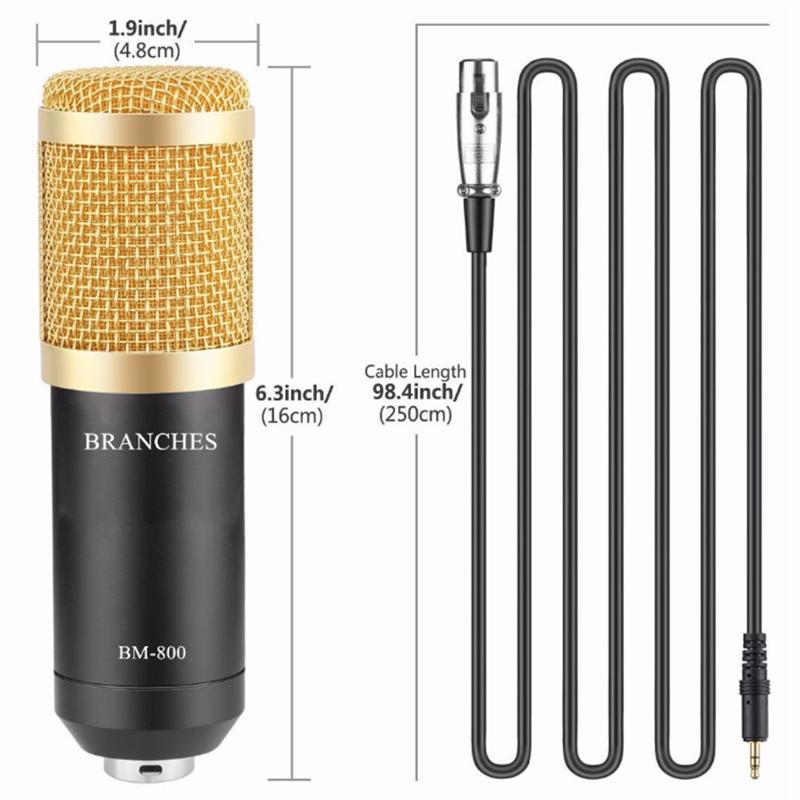 Buy Good Sound Quality BM800 Professional Condenser Microphone For Singing Recording at