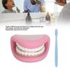 Kids Mouth Hand Puppet 28 Teeth Tongue Mouth Puppet with Toothbrush for Speech Improvement