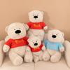 Bear Wear Clothes Plush Toy Cartoon Stuffed Animal Doll Decoration Kids Gift