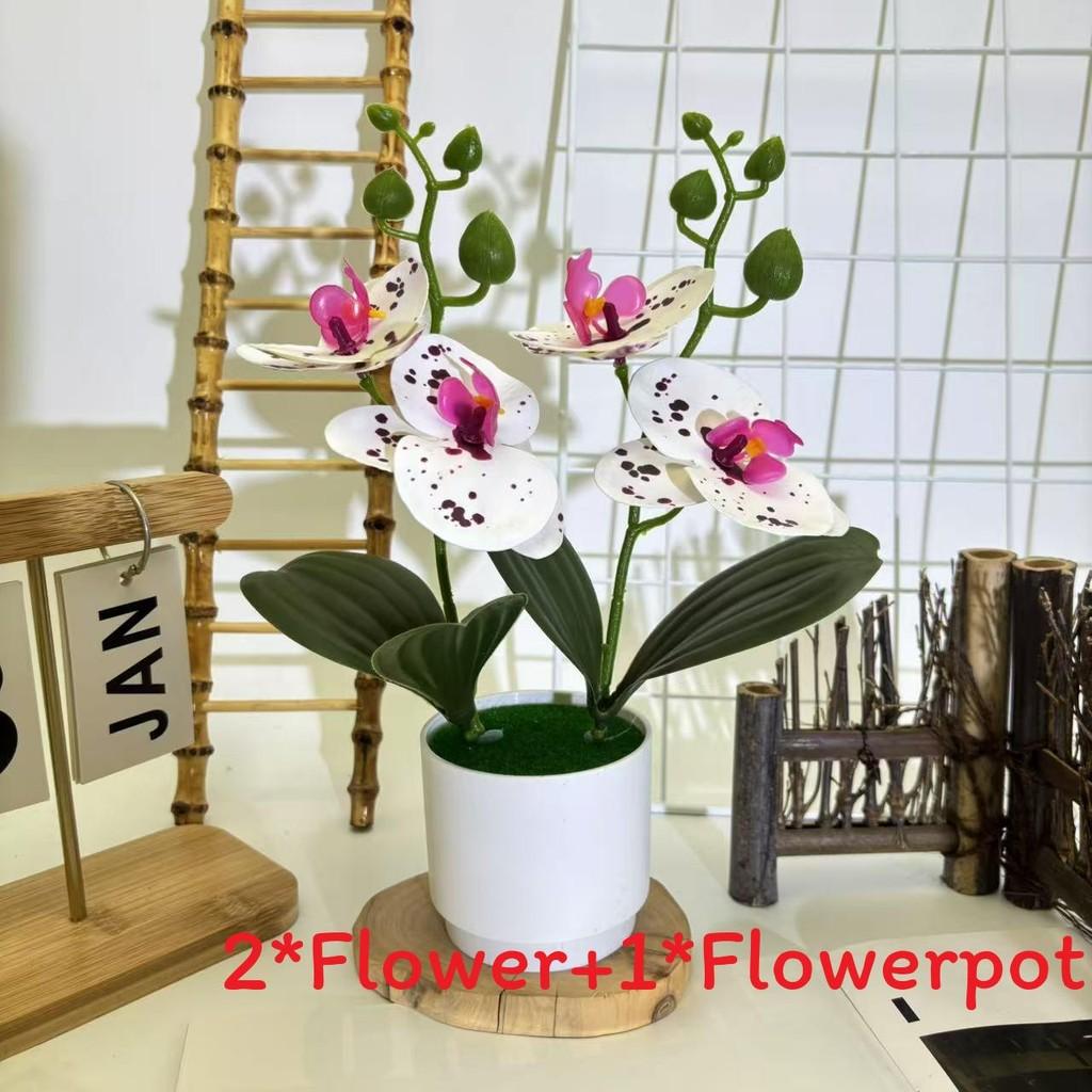 

Plastic Potted Phalaenopsis Plants For Home Decoration And Photography Props Dot PurpleWhite