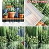 2D flat Photography Backdrop Popular Tapestry Collection of Potted Cacti 100% Polyester Birthday Party for Holiday home