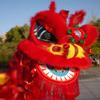 Adult Southern Lion Dance Costume & Props