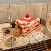 Thickened Simulated Cake Hamster Nest Warm Plush Pet Bed Small Pet Sleeping House  Cold Weather