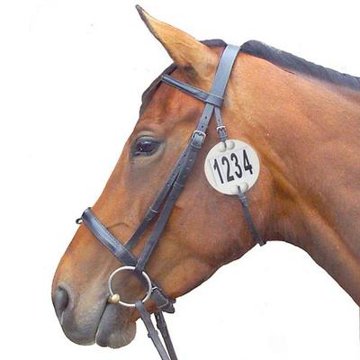 Paardensport – Hoofdstellen en teugels