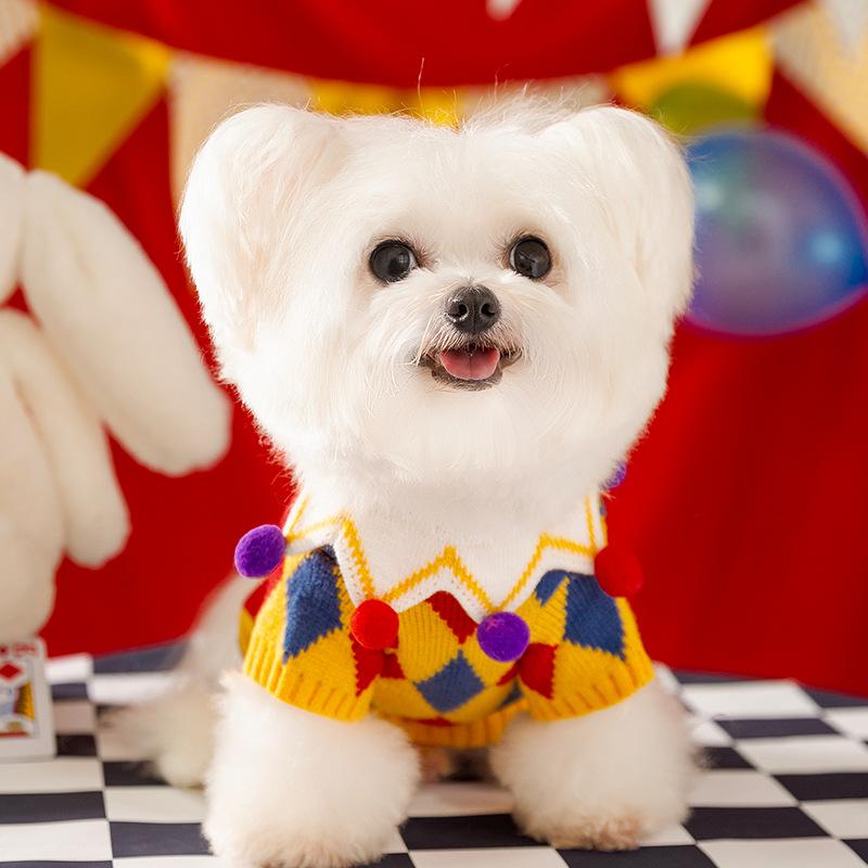 Circus Series Dog Clothes Autumn and Winter Warm Funny Hairball Knitted Sweater Than Bear Small Dog Pet Clothing